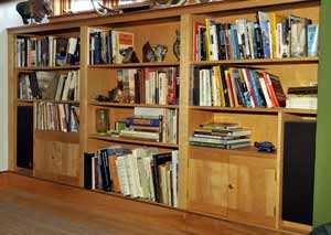 _JRD5189-bookcase-icon